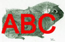 Meerschweinchen ABC