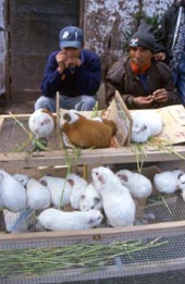 Cuzco Markt1