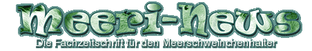 www.meeri-news.de