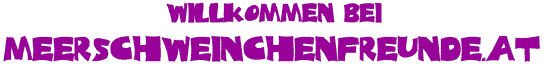 meerschweinchenfreunde.at